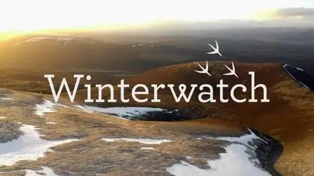 BBC - Winterwatch (2020)