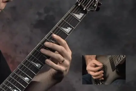Rock House 7-String Fretribution Rhythyms & Leads (Repost)