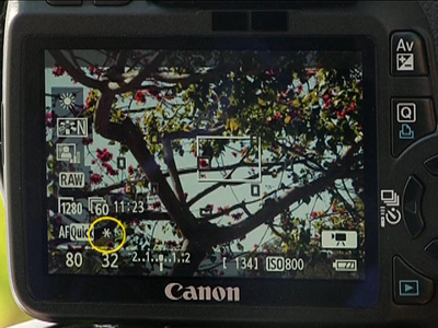 Blue Crane Digital - Introduction to the Canon Rebel T2i - 550D: Volume 1 Basic Controls [repost]