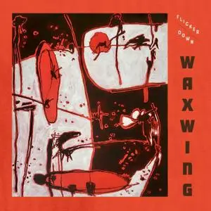 Waxwing - Flicker Down (2021) [Official Digital Download 24/96]