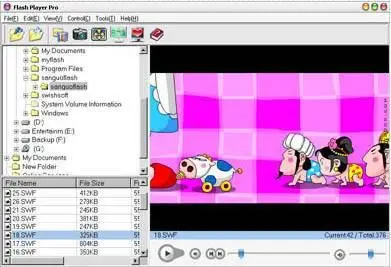 Flash Player Pro 3.2