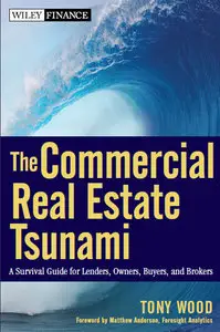 The Commercial Real Estate Tsunami: A Survival Guide for Lenders, Owners, Buyers, and Brokers (repost)