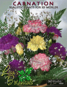 Lisas Botanicals Carnation