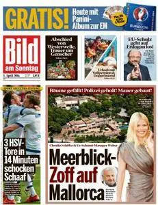 Bild am Sonntag - 3 April 2016