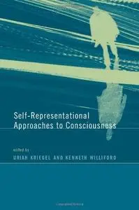 Self representational Approaches to Consciousness