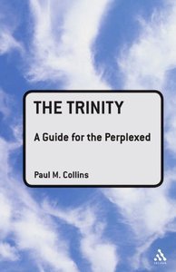 Trinity: A Guide for the Perplexed (Guides For The Perplexed) (repost)