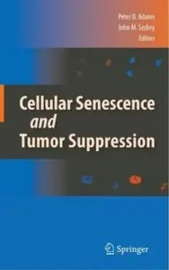 Cellular Senescence and Tumor Suppression
