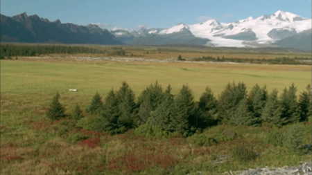 Grizzly Man (2005)