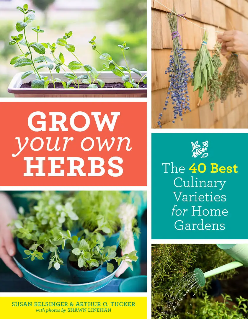 Grow Your Own Herbs: The 40 Best Culinary Varieties for Home Gardens ...