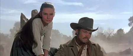 The Unforgiven (1960)