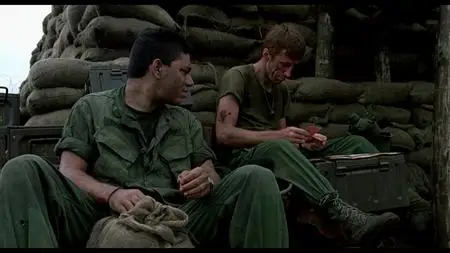 Platoon Leader (1988)