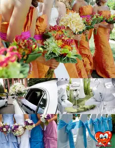 Expectation of the bride