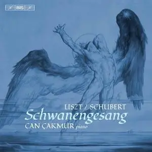 Can Çakmur - Liszt: Schwanengesang, S. 560 & Valses oubliées, S. 215 (2020)