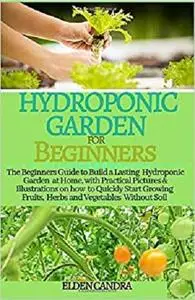 HYDROPONIC GARDEN FOR BEGINNERS: The Beginners Guide to Build a Lasting Hydroponic Garden at Home