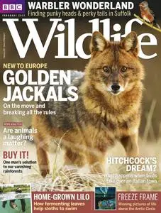 BBC Wildlife Magazine – January 2017