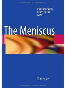The Meniscus