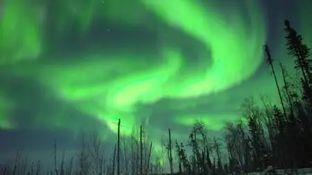 CBC - The Nature of Things: The Wonder of the Northern Lights (2019)