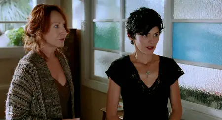 De vrais mensonges (2010)