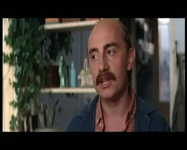 Viens chez moi, j'habite chez une copine (1981)