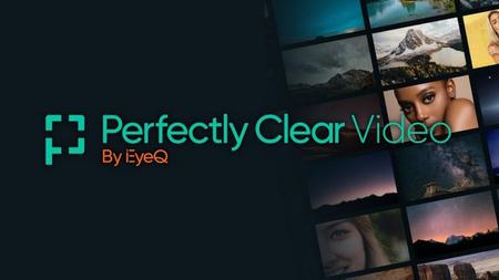 Perfectly Clear Video 4.6.0.2638 (x64)