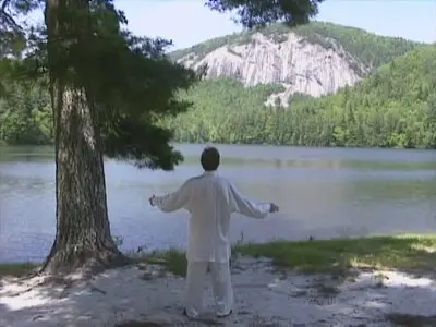 Primordial QiGong - Tai Chi for Enlightenment