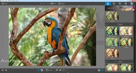Avanquest My (InPixio) Photo Editor 1.2.5633 Premium