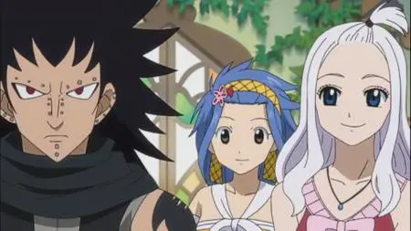 Fairy Tail 141-150 (2009-2013)