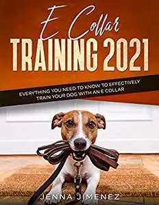 E Collar Training 2021: Everything You Need to Know to Effectively Train Your Dog with an E Collar