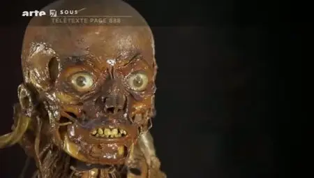 (Arte) Honoré Fragonard, la passion de l'anatomie (2011)