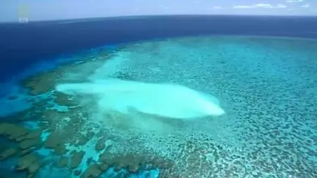 National Geographic - Access 360°: Great Barrier Reef (2013)