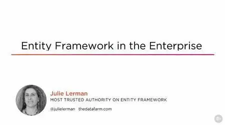 Entity Framework in the Enterprise (2016)