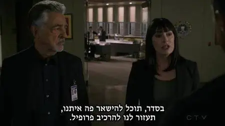 Criminal Minds S13E19