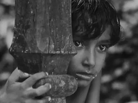 Satyajit Ray-Pather Panchali (1955)