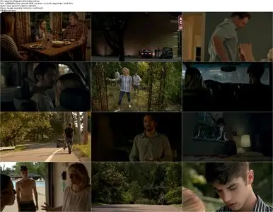 The Lifeguard (2013)