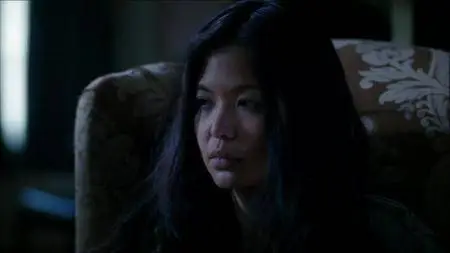 Stranger in the House (2015)