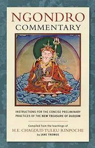 Ngondro Commentary: Instructions for the Concise Preliminary Practices of the New Treasure of Dudjom
