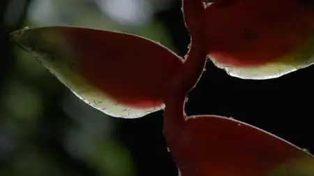 Dead by Dawn S01E05