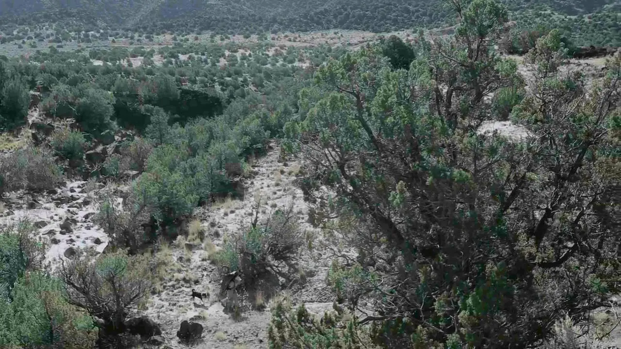 Karof Films - Cave Digger (2014)