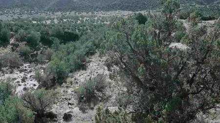 Karof Films - Cave Digger (2014)