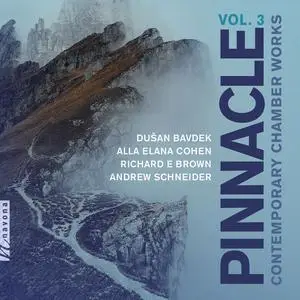 Jakub Černohorský, Tomáš Svozil, Alexandr Stary, Benda Quartet-Pinnacle, Vol. 3 Contemporary Chamber Works (2023) [24/96]