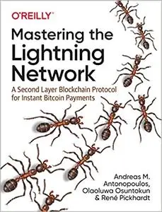 Mastering the Lightning Network: A Second Layer Blockchain Protocol for Instant Bitcoin Payments