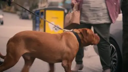 Turner & Hooch S01E05