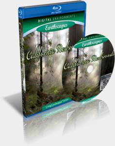 Living Landscapes - California Redwoods (2008)