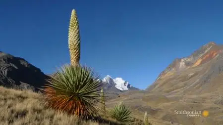 Smithsonian Channel - The Wild Andes (2019)