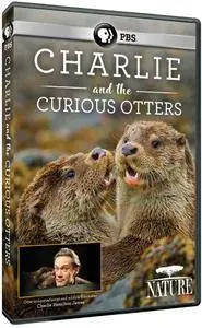 PBS - NATURE: Charlie and the Curious Otters (2017)