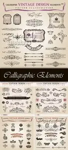 Calligraphic Design Elements Vector