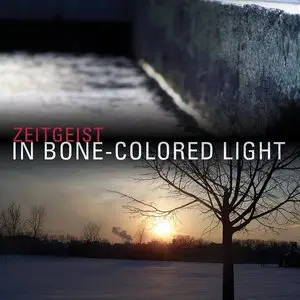 Zeitgeist - In Bone-Colored Light (2010)