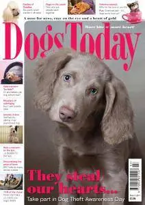 Dogs Today UK - March 2017