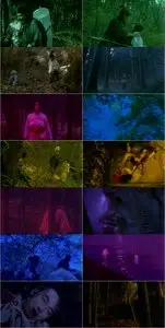 In The Thicket (1996)