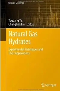 Natural Gas Hydrates: Experimental Techniques and Their Applications [Repost]